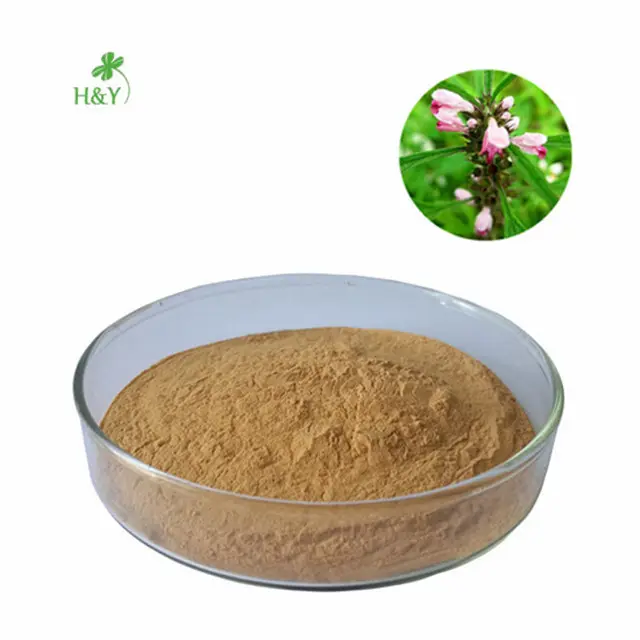 Motherwort extract manufacturer yi mu cao motherwort extract 20:1