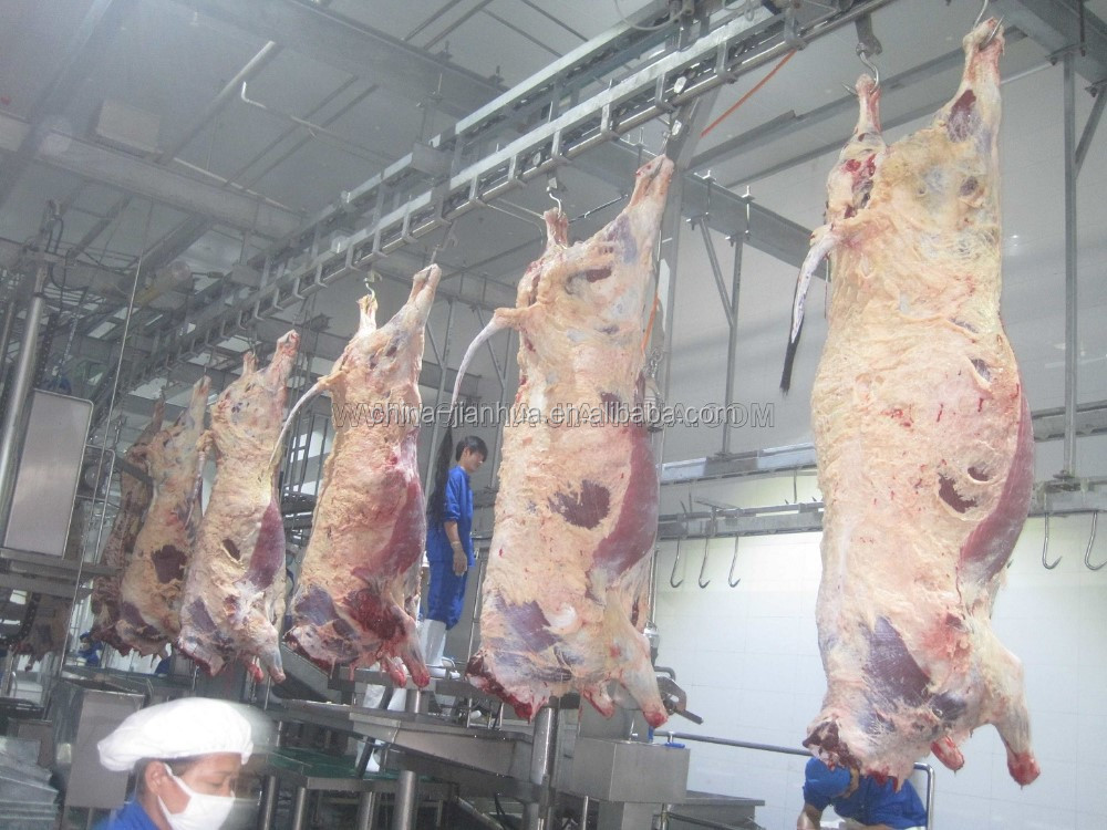 Бойня для крупного рогатого скота halal, 100 головок в день