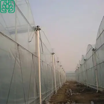 С парниковым покрытием Садоводство HDPE полиэтиленовая пленка