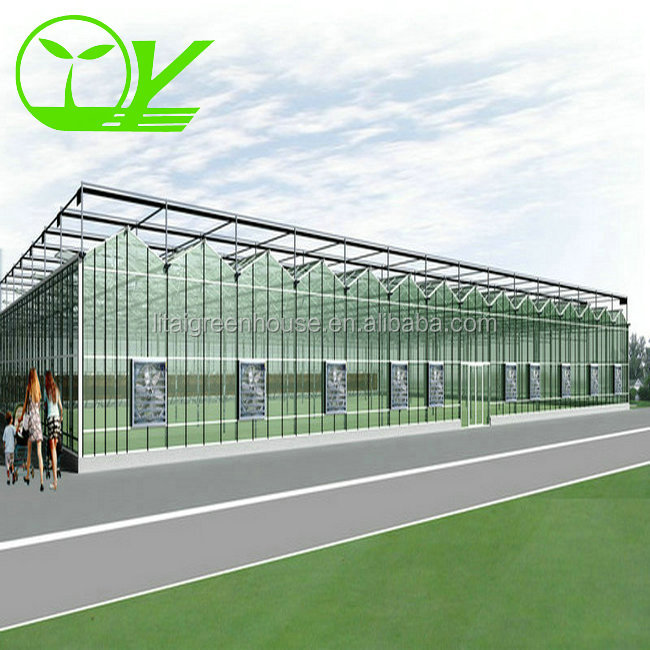 Venlo стеклянная многоразовая сельскохозяйственная теплица