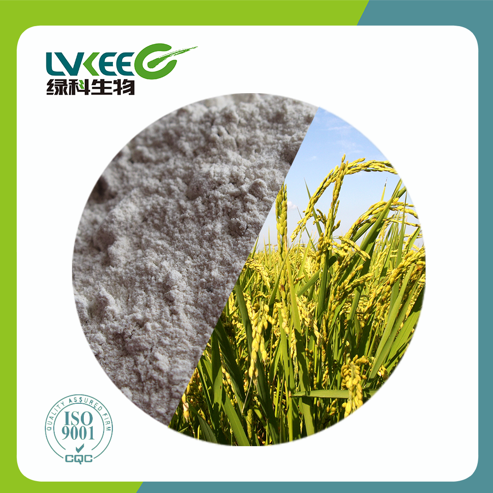 Животных поставщиков кукурузы 50 bilion КОЕ/G bacillus amyloliquefaciens для сельскохозяйственной продукции