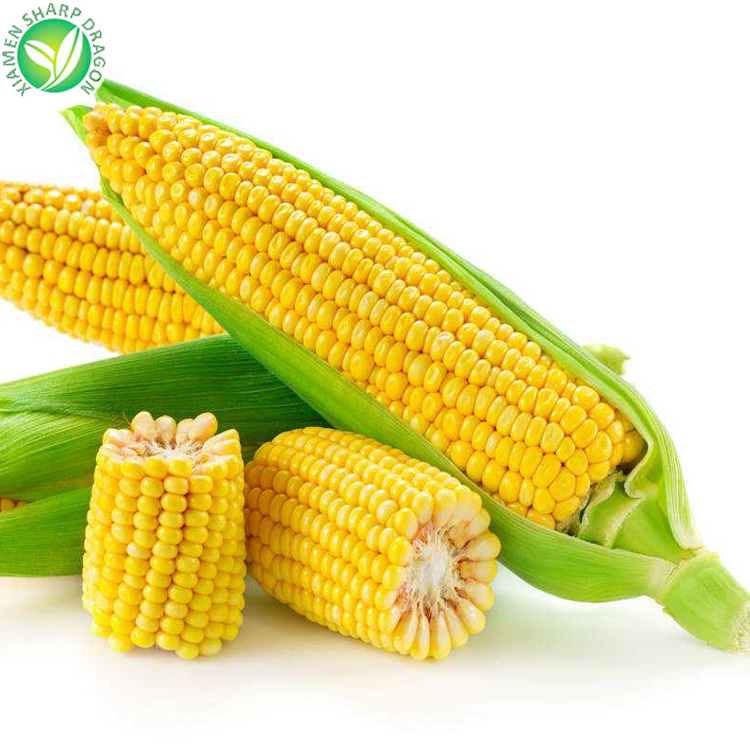 Wholesale price iqf frozen sweet corn cob