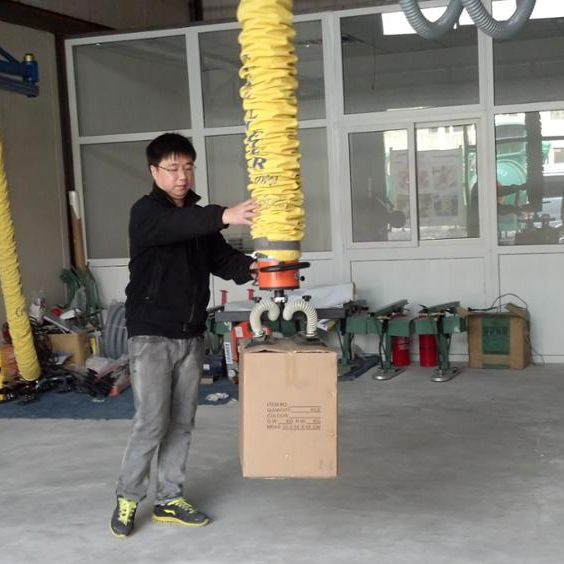 vacuum lifter for carton stacking