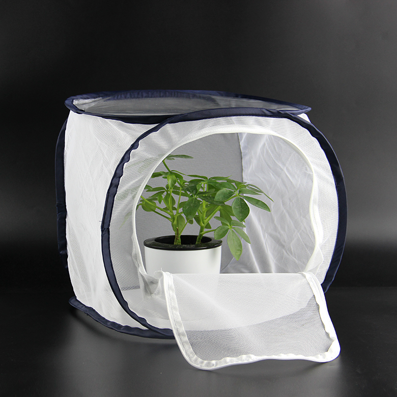 Pop Up Butterfly Insect Net Rearing Cage,Mesh Insect Cage