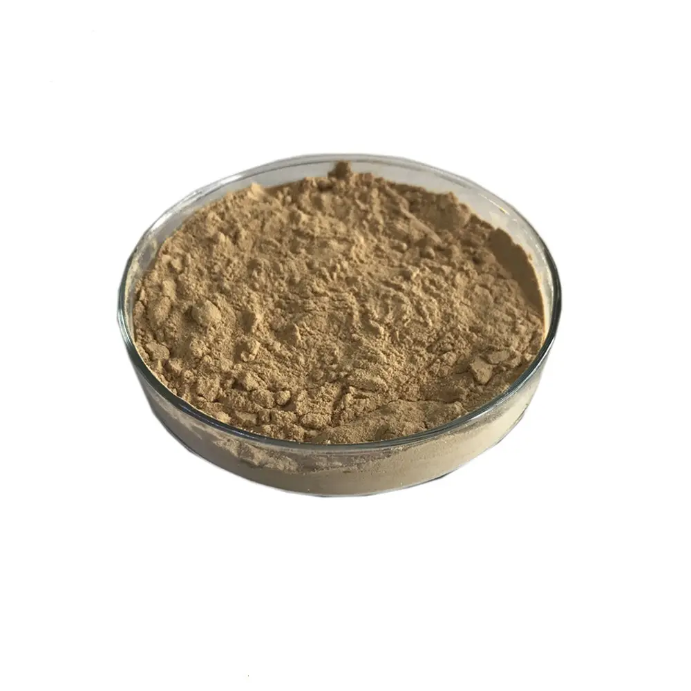 Powdered dietary supplement lion's mane mushroom extract