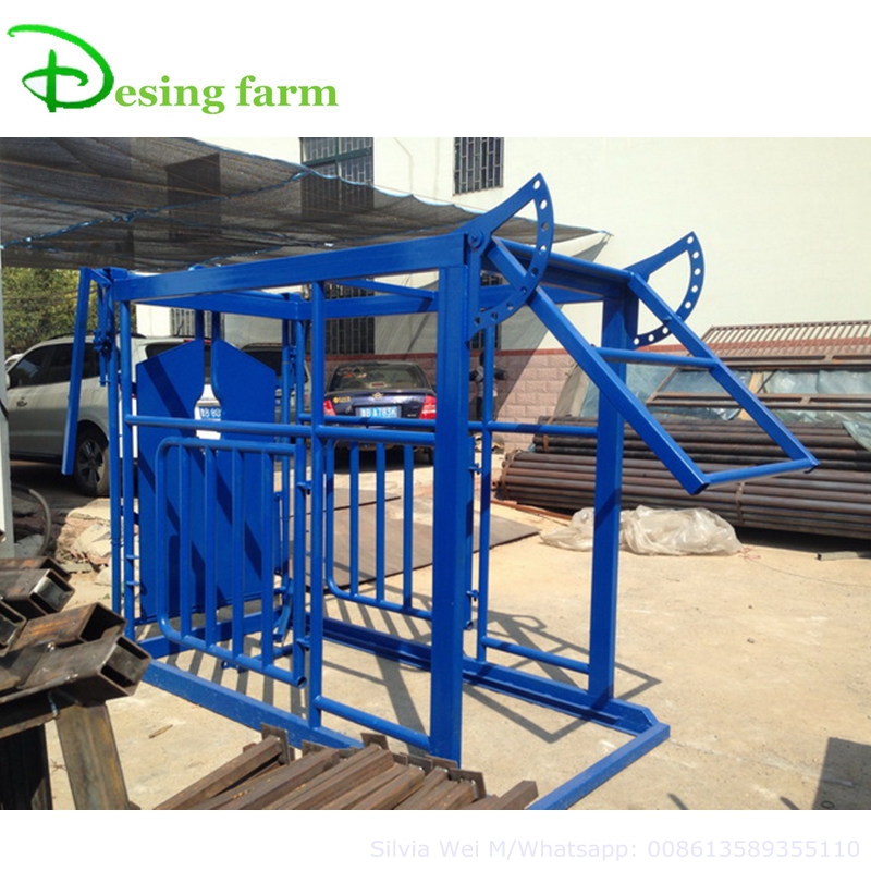 Cattle farm livestock equipment
