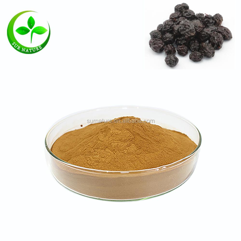 High Quality Natural Dried Pure Dark Plum Extract Powder