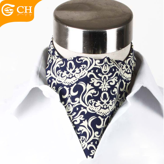 Chunhe Polyester Printed Fashion men Ascot Ties