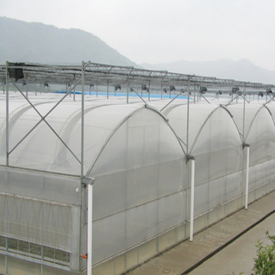 Invernadero de защитное стекло pelicula de plastico para cultivo hidroponico con Система де cultivo hidroponico de tomate