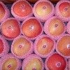 Fresh Apple