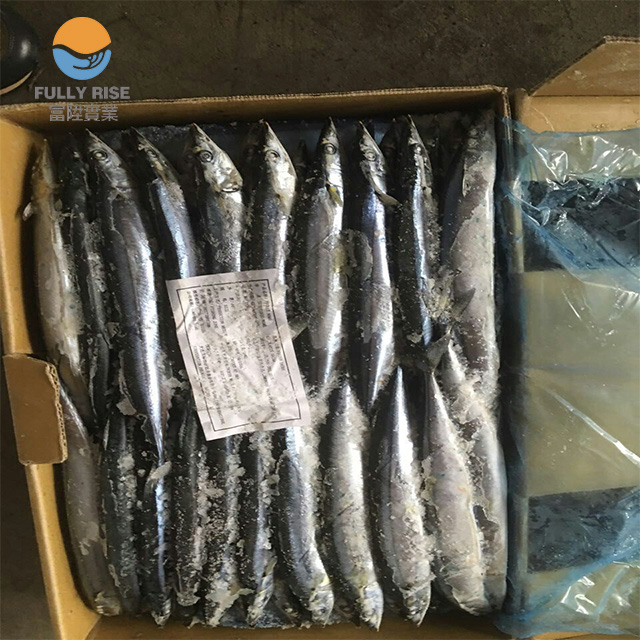 Замороженные морепродукты Тихоокеанский saury весь круглый 100% NW 10 кг/коробка