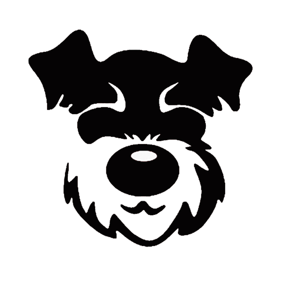 Custom printed vinyl car sticker,bumper sticker for car