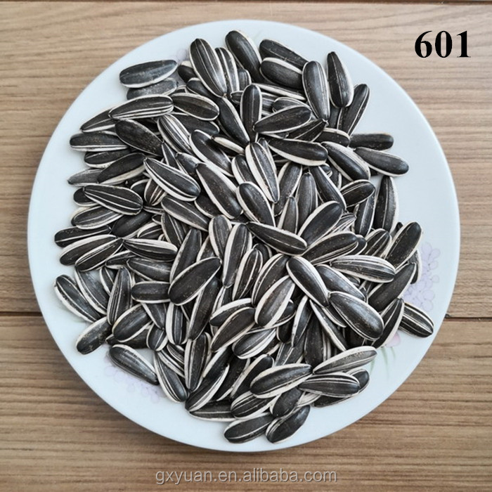 Chinese new crop sunflower seeds 601