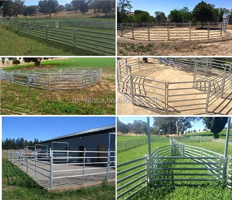 China 4/5/6 Bars Pre-galvanized Sheep Ranch Corral FenceGate Australia Galvanized Metal Livestock Cattle Yard Panel For Sale