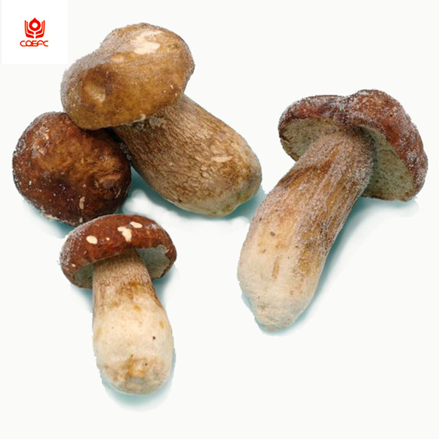 Замороженные фунги Porcini, Болетус эдулис, цена