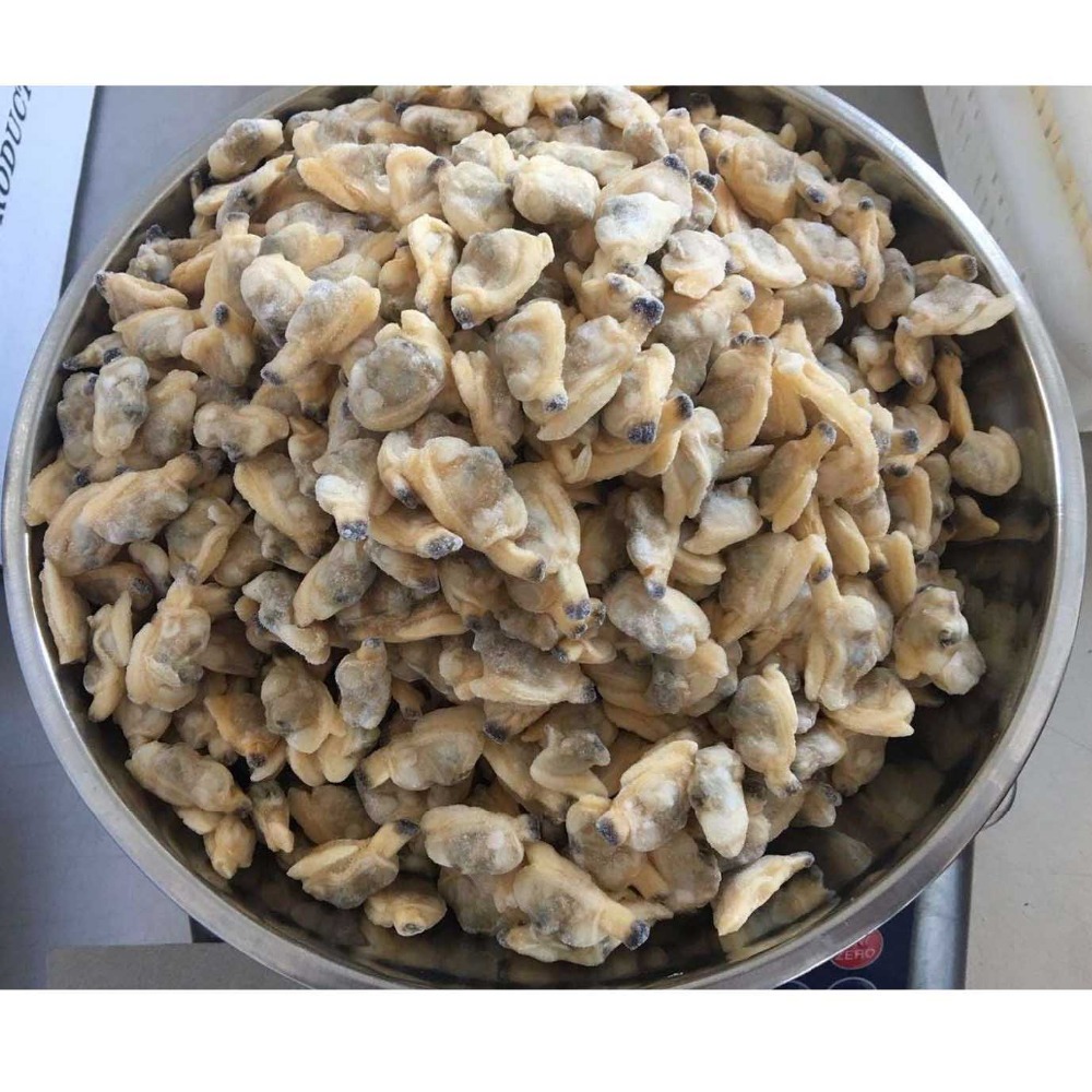 New Coming Shellfish Cooked Frozen Clam Meat