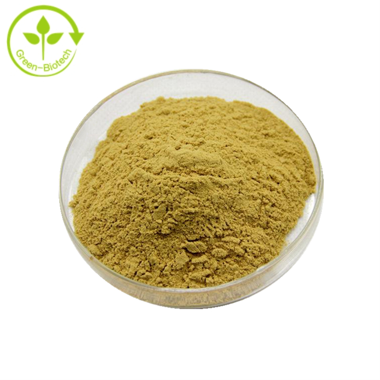 Supply High Quality Olive Leaf Extract Herpes Oleuropein 10%-80%