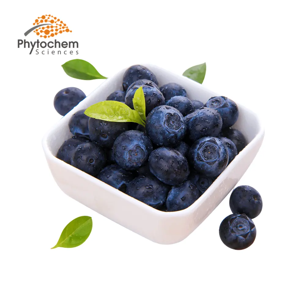 bulk blue berry fruit Freeze-dried blueberry powder