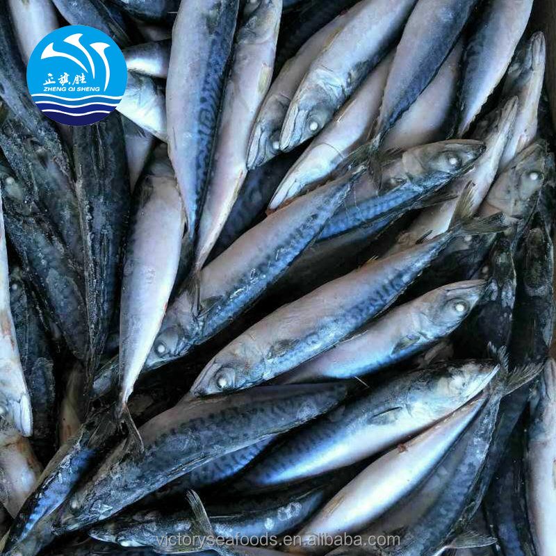 Замороженные морепродукты, скумбрия, рыба