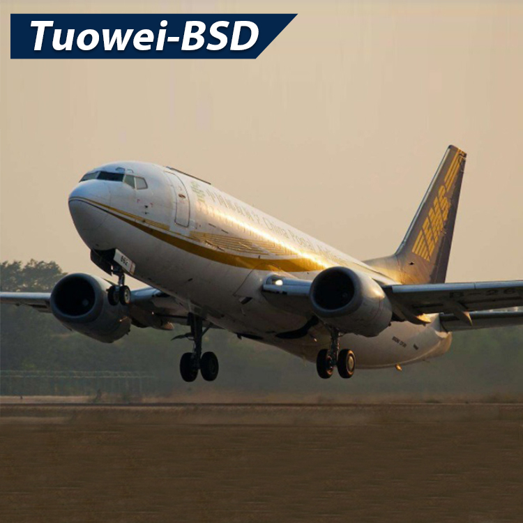 DHL UPS курьерская экспресс-доставка от двери до двери из Китая в Индию