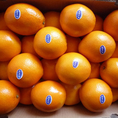 Свежий стиль и цитрусовые продукты Тип мандарин/оранжевый