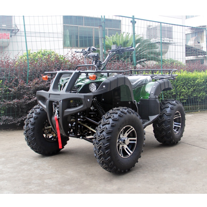 (Максимальная скорость 50 км/ч!) Электрический привод вала 4wd ATV 4000w 60v взрослый Электрический ATV (PH-E7004)