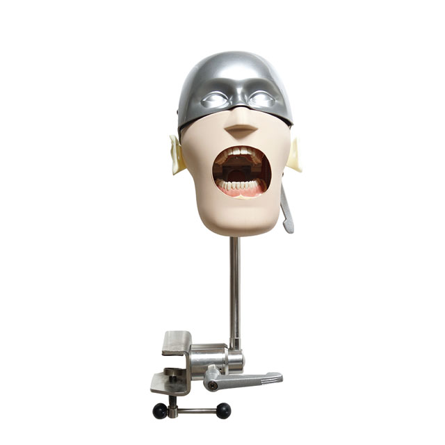 Best Selling Dental Phantom Head Manikin Ore Exam Kit Model Ctd Bench Mounted