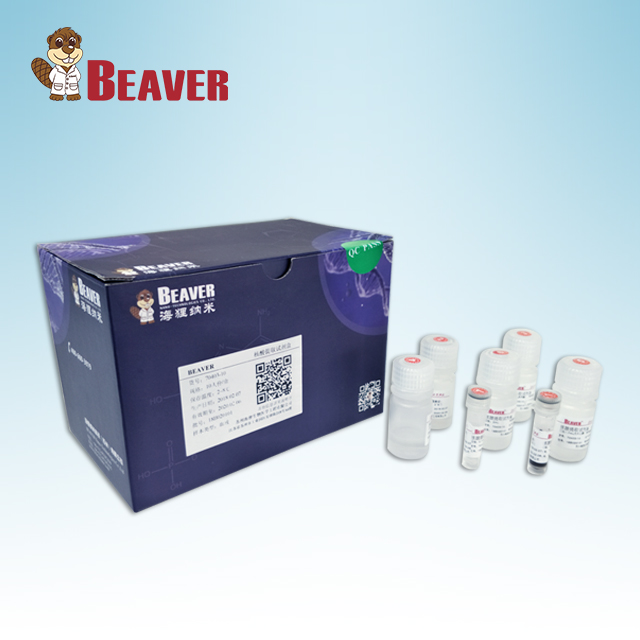 BeaverBeads слюна ДНК экстракция комплект 100rnx реагент