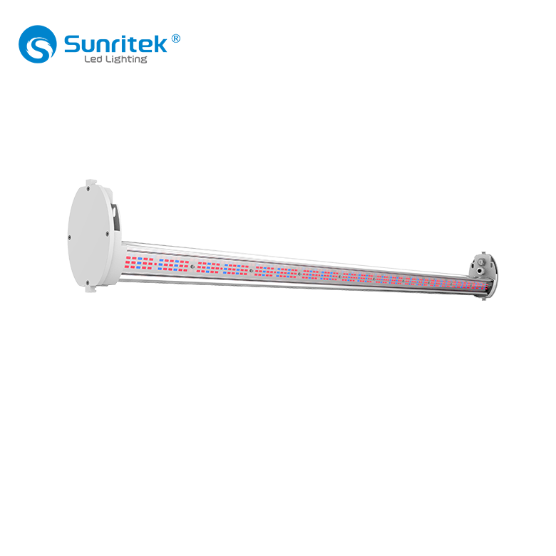 125w supplementary led light for medicinal plant tomatoes