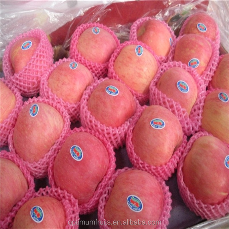 Fuji apple экспортная цена