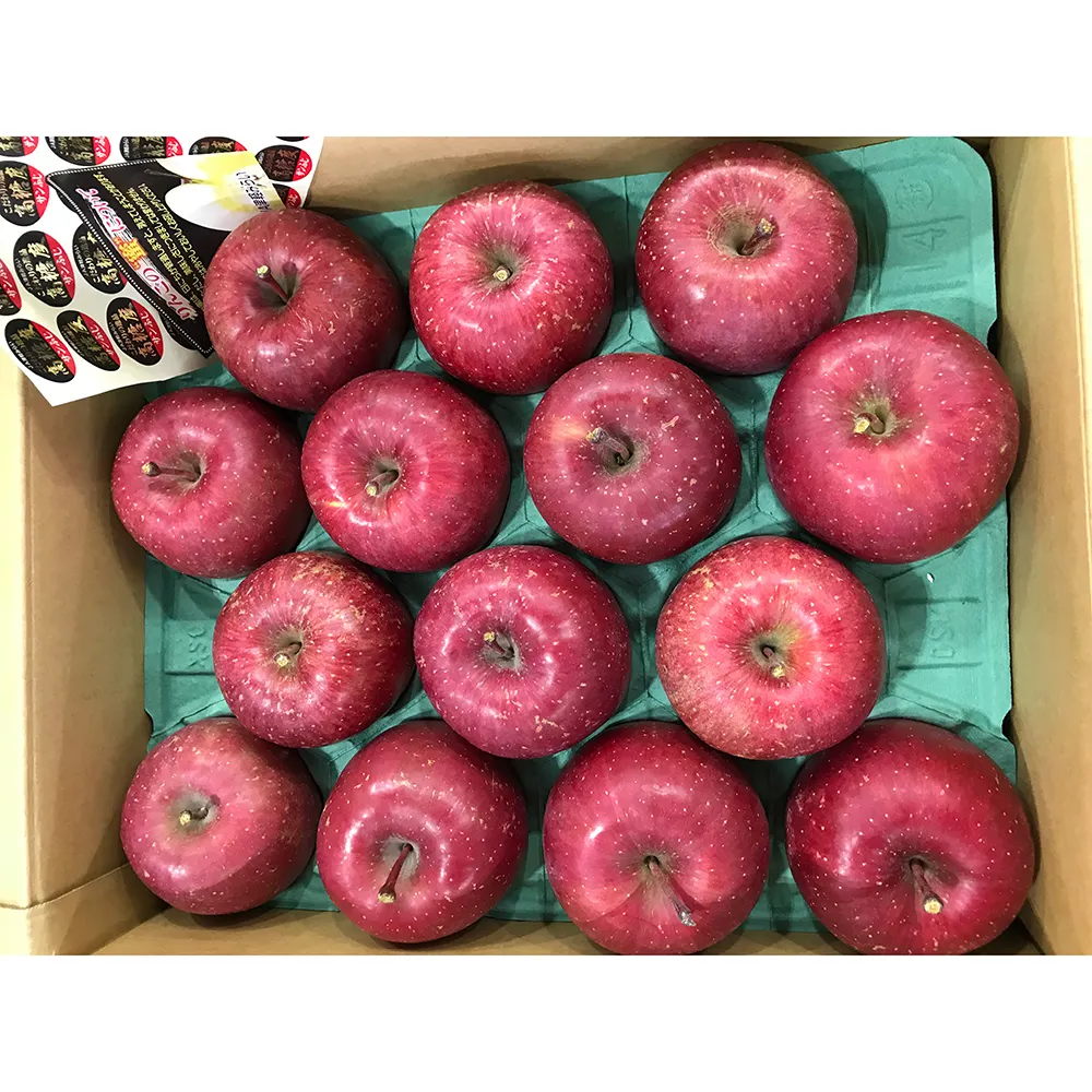 High quality fresh green apple prices