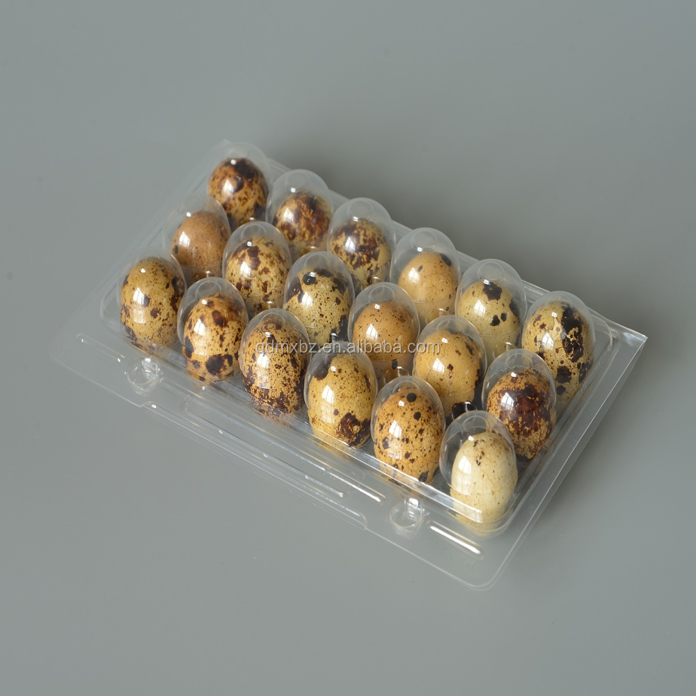 Manufacture plastic quail egg tray for packaging