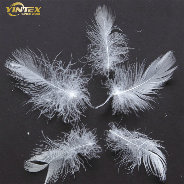 High Quality Home Textile Washed White/Grey Duck/Goose Down Feather