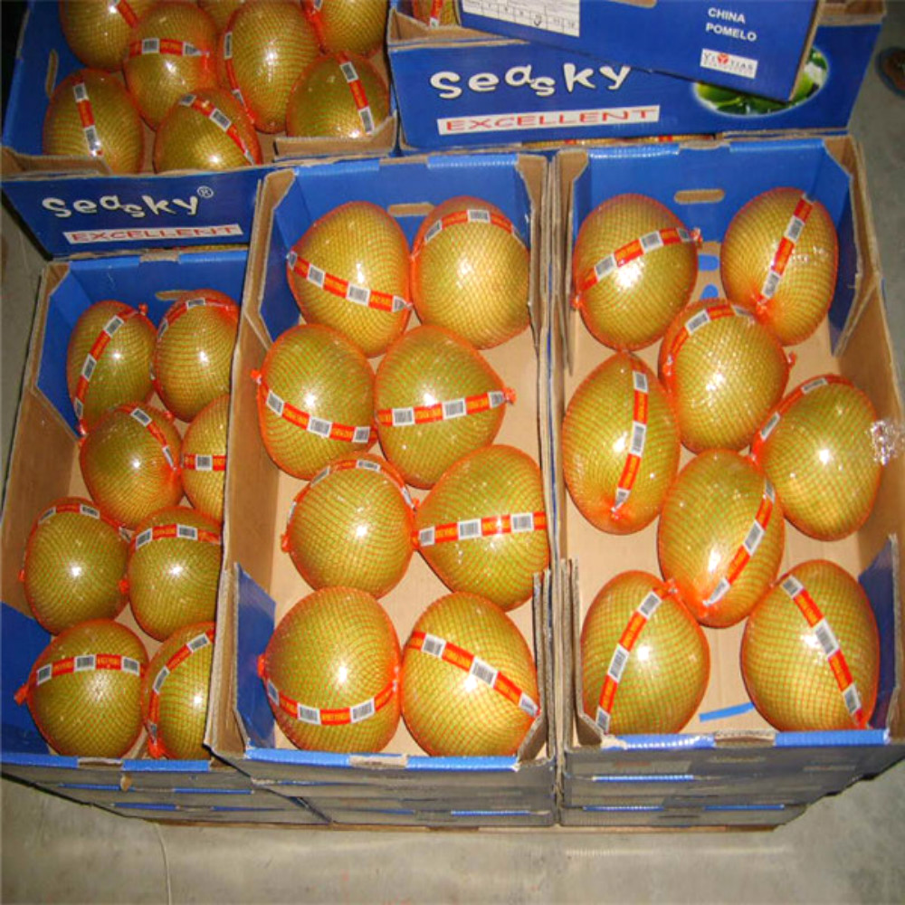 Свежий грейпфрутовый помело, горячая распродажа