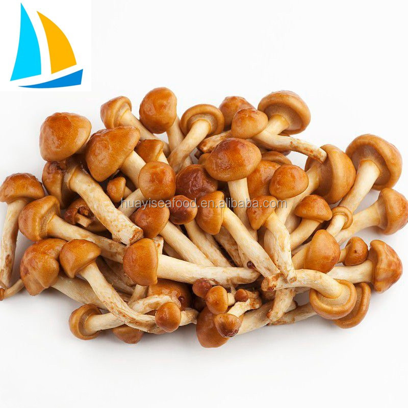 Лучшие цены на грибы nameko для продажи