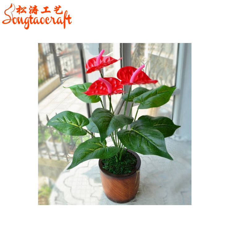 Guangzhou Anthurium plants for sales garden plants and artificial plants and trees