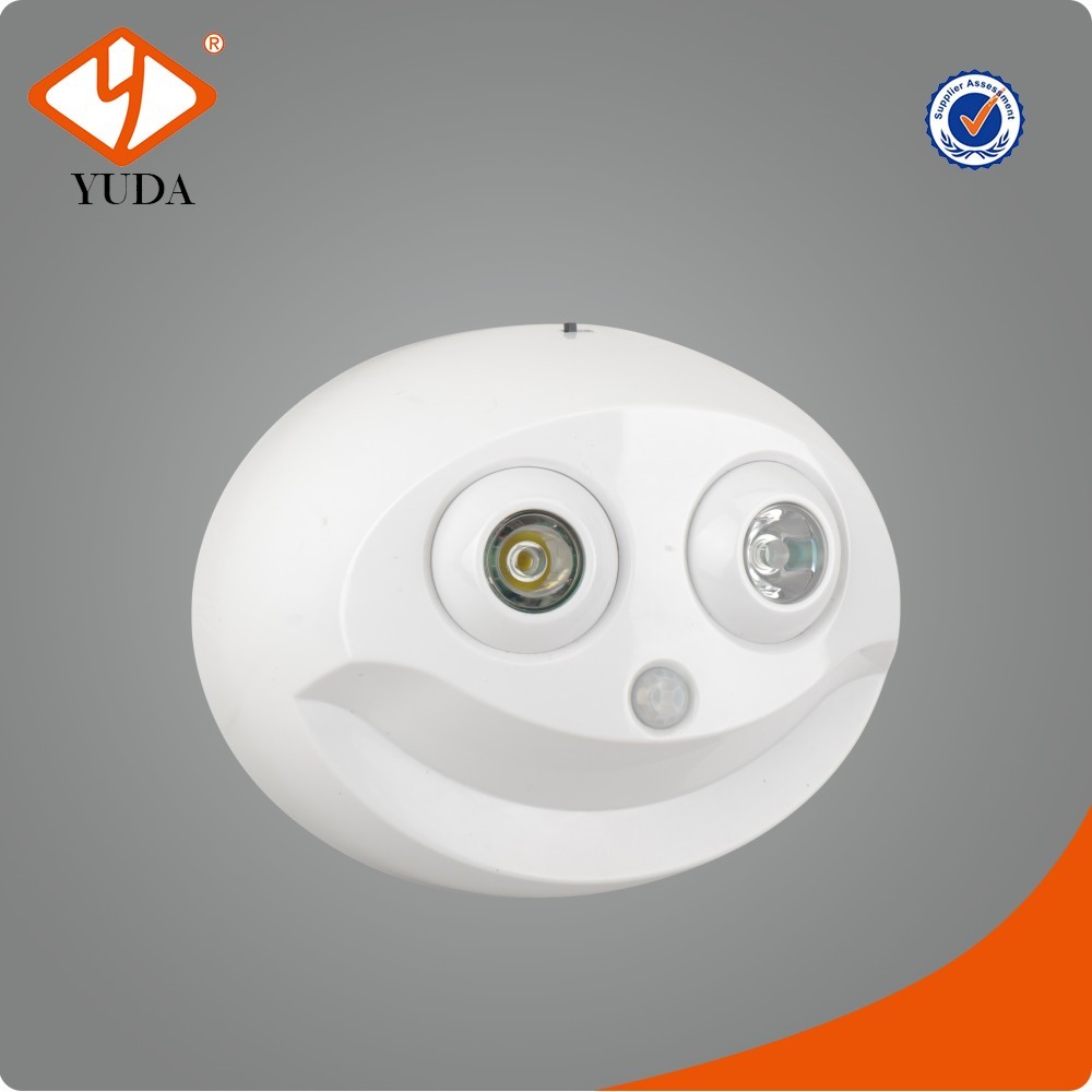 Smile Face Plastic Night New LED Sensor Light With Battery