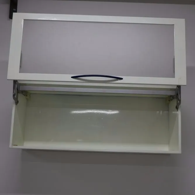 Wall mounted hanging Cabinet with door for dental office