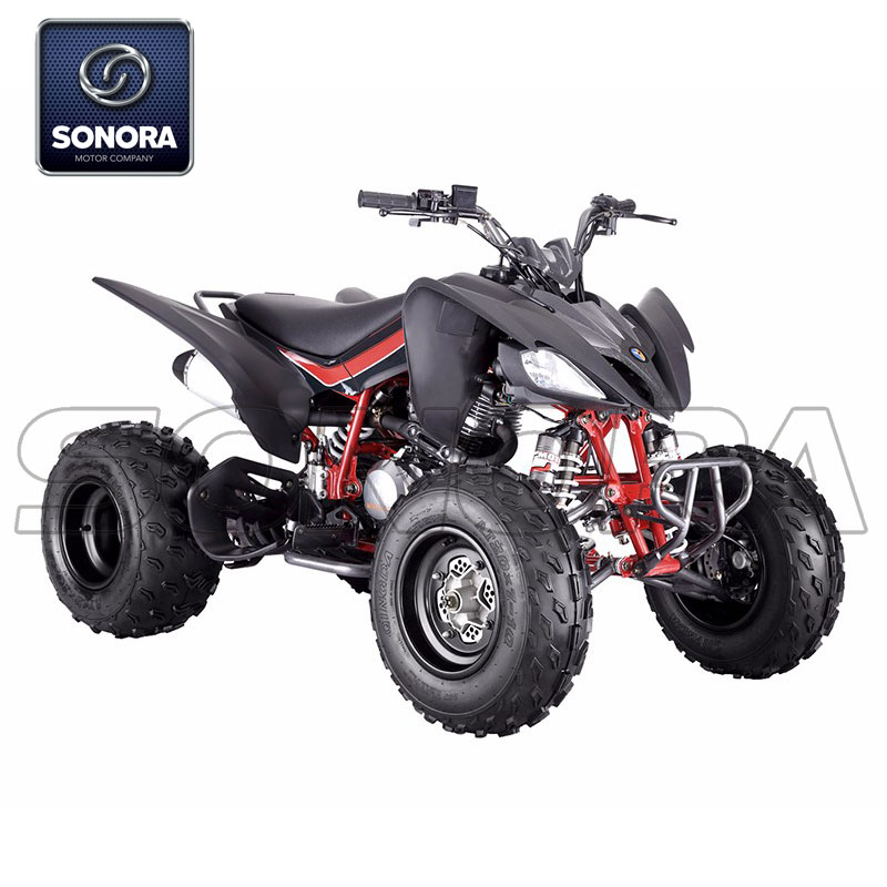 Mikilon ATV PENTORA 250A полный комплект кузова двигателя Запасные части оригинальные запасные части