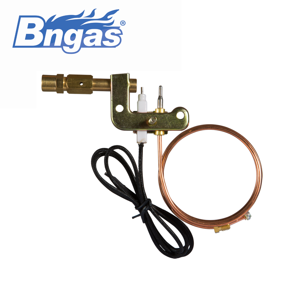 B880307 газ камин воспламенитель части oxyprotector
