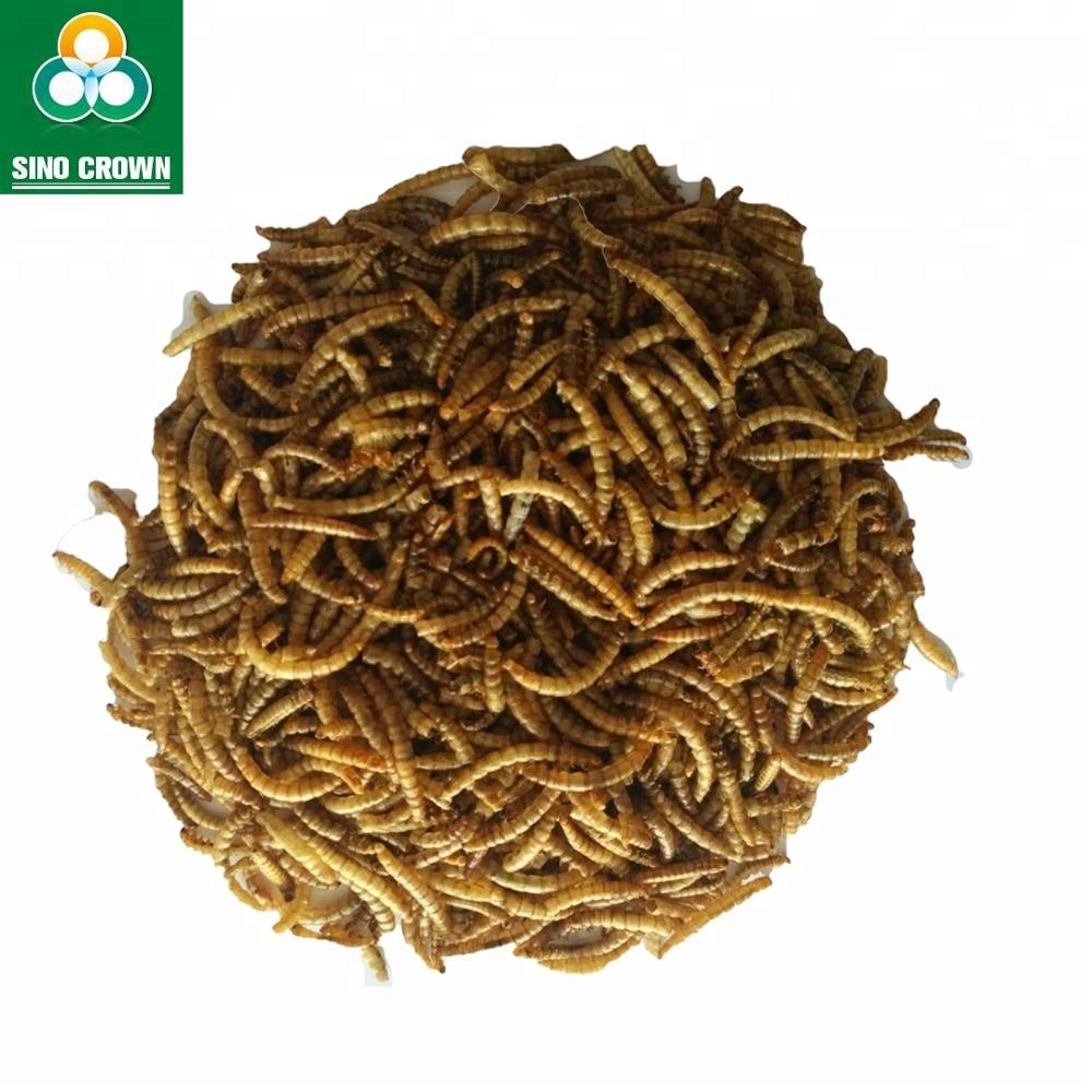 Высокая белка Сушеные mealworms Дракон еда товары для кормления