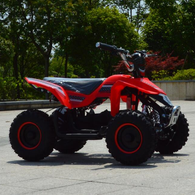 2018 моторы детский квадроцикл детский Quad 4 Wheeler ездить на с 800 Вт 36В тормозной в розовом цвете детская обувь для езды на мотоцикле обувь для девочек