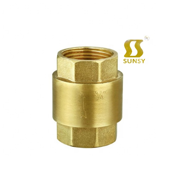 Пружинный обратный клапан вертикального типа из нержавеющей стали SS60201