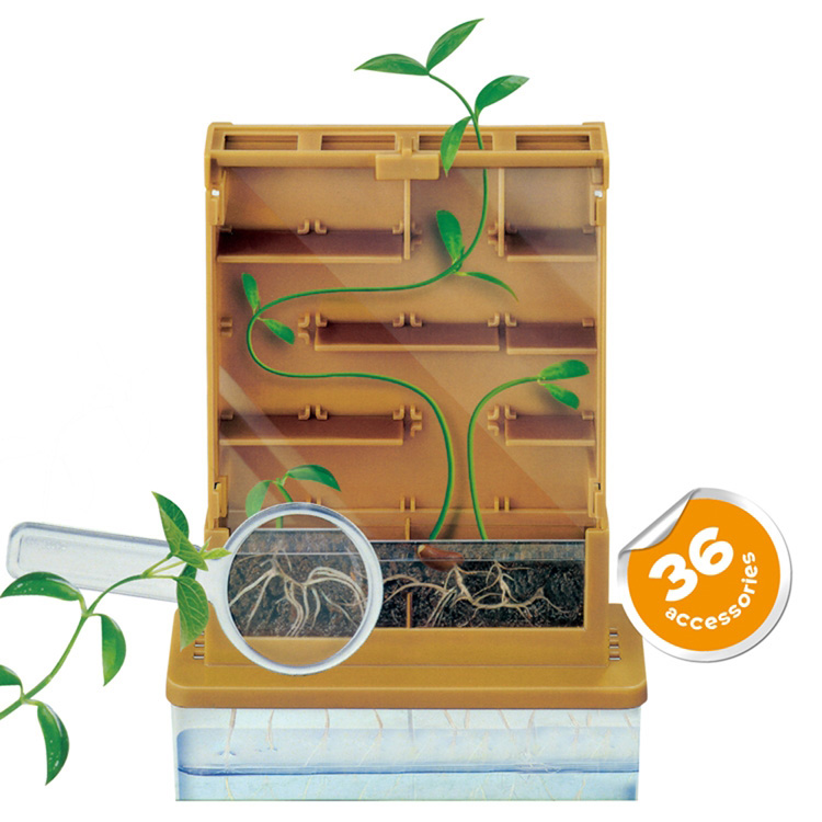 Kids educational toys OEM science STEM grow a plant maze toy customized