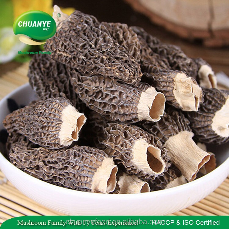 Лучшие Morel для продажи диких сушеные сморчки morchella conica гриб