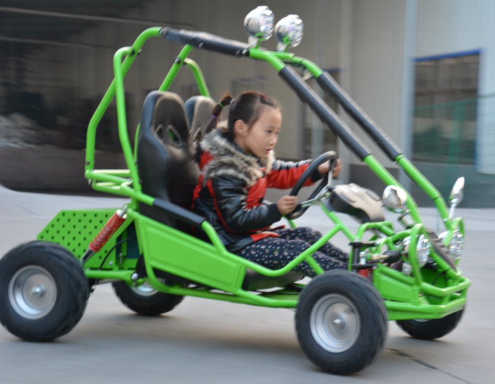 Новый 450 Вт Электрический 2-местный go kart для детей (PN-450GK)