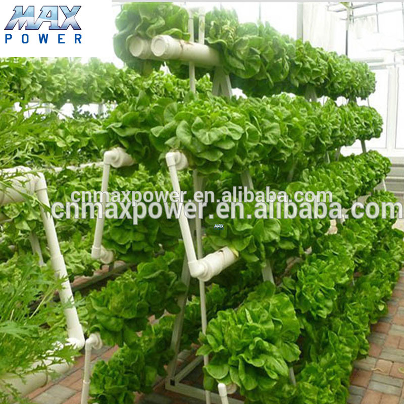 Индивидуальные green house гидропоники системы предварительно окрашенная оцинкованная сталь) с низкой ценой