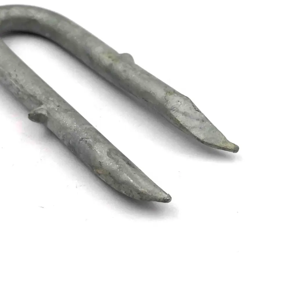 Hot Dipped Galvanized Wire Barbed U Type Nails