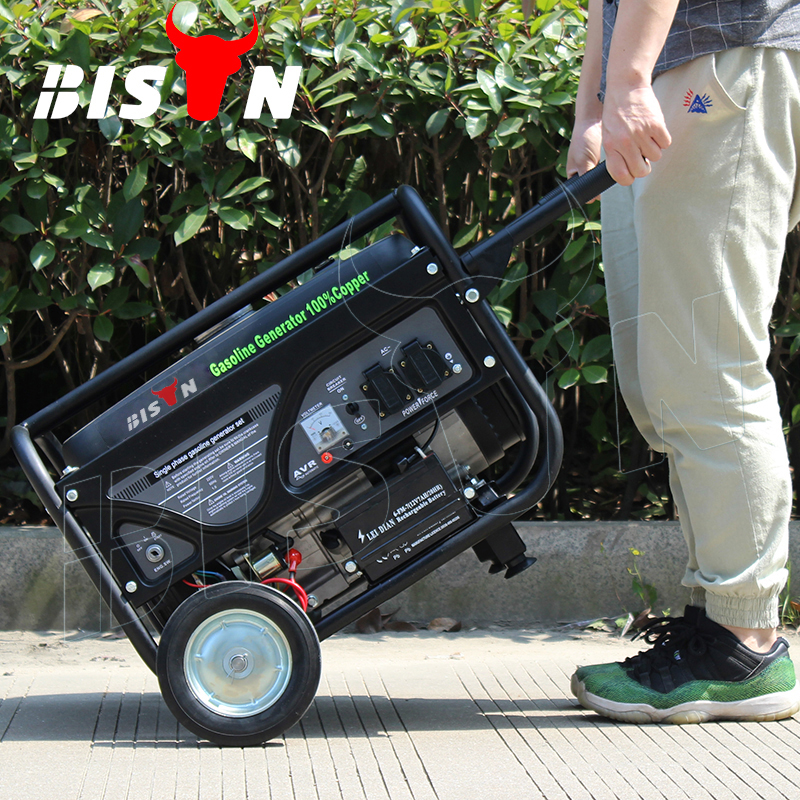 BISON (Китай) BS3500 2.8kw бензиновый генератор