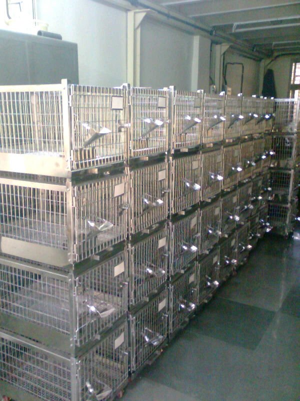Клетки кролика